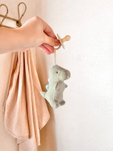 Load image into Gallery viewer, *NEW OPTIONS* Bitzy Pal Natural Rubber Pacifier & Plush