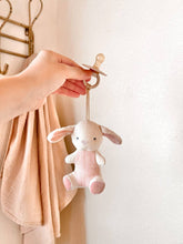 Load image into Gallery viewer, *NEW OPTIONS* Bitzy Pal Natural Rubber Pacifier & Plush