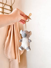 Load image into Gallery viewer, *NEW OPTIONS* Bitzy Pal Natural Rubber Pacifier & Plush