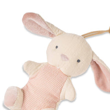 Load image into Gallery viewer, *NEW OPTIONS* Bitzy Pal Natural Rubber Pacifier & Plush