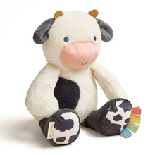 Load image into Gallery viewer, *NEW* Sweetie Snuggles™ Plush