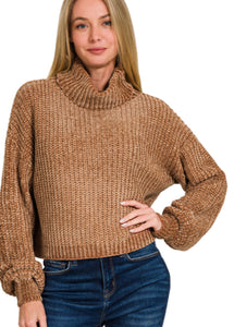 Z Chenille Turtleneck Sweater