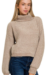 Z Chenille Turtleneck Sweater