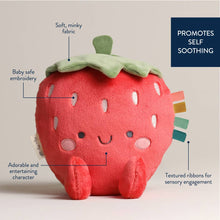 Load image into Gallery viewer, *NEW* Sweetie Snuggles™ Plush