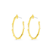 Load image into Gallery viewer, Dorthy Hoop Earrings | Precious Metals Collection