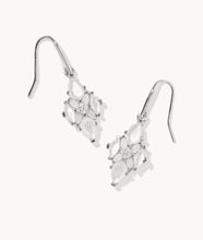 Load image into Gallery viewer, Kendra Scott Abbie Crystal Drop Earring