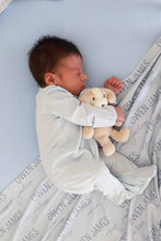 Load image into Gallery viewer, Baby Blue Bamboo Zipper Footie
