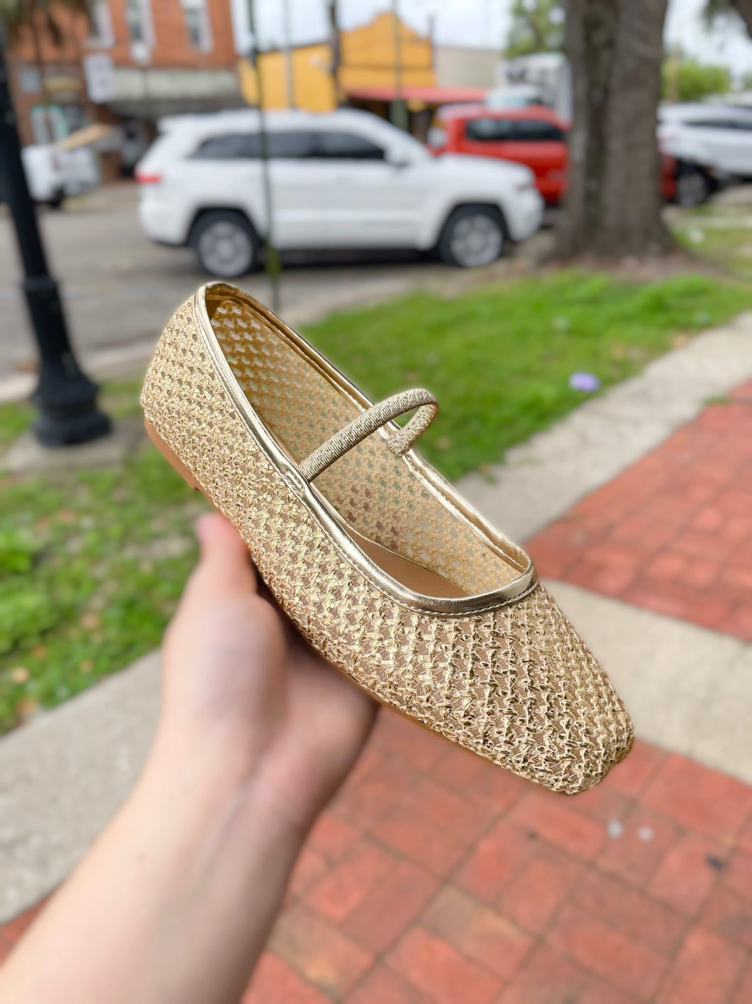 Gold Ballet Flat