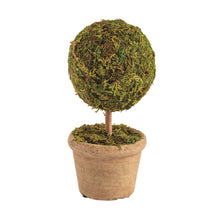 Load image into Gallery viewer, Mini Moss Topiary