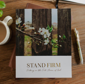 Stand Firm Armor of God Study