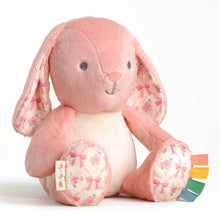 Load image into Gallery viewer, *NEW* Sweetie Snuggles™ Plush