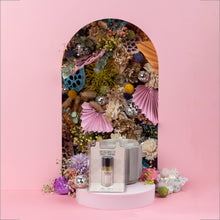 Load image into Gallery viewer, Sweet Grace Home Fragrance Oil