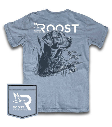 Roost Monotone Lab