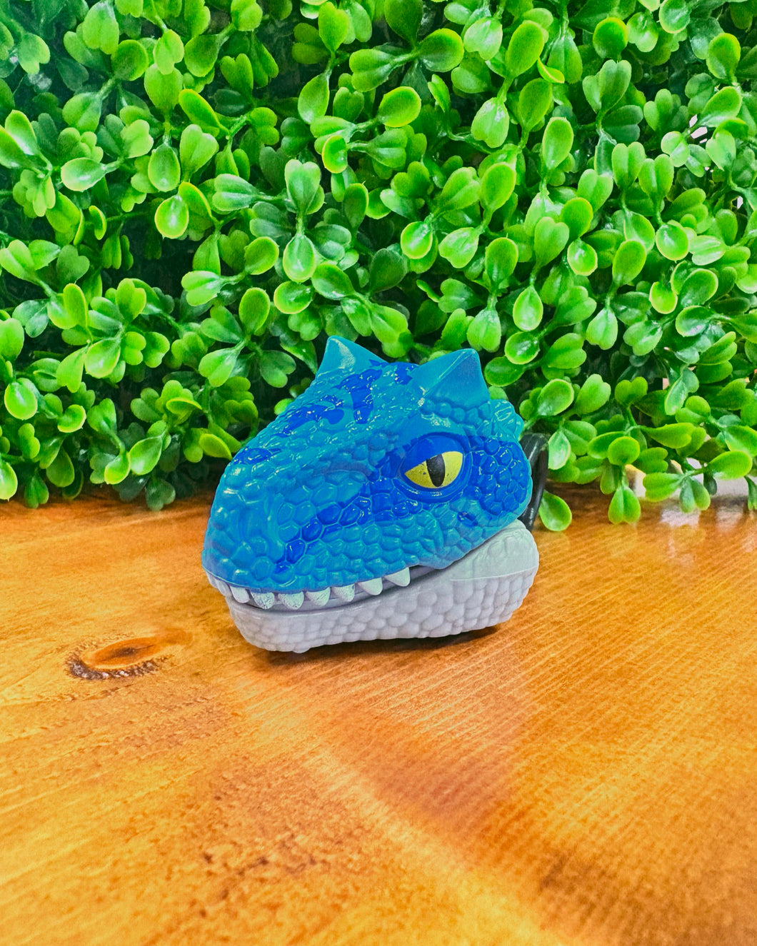 Mud Pie Pull-Back Chomping Dinos