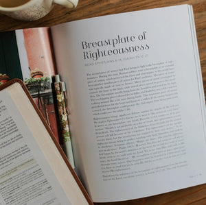 Stand Firm Armor of God Study
