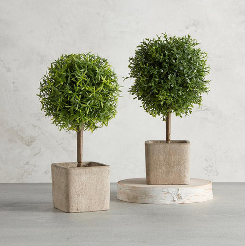 Topiary Ball In Planter Set/2