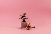 Load image into Gallery viewer, Sweet Grace Round Candle